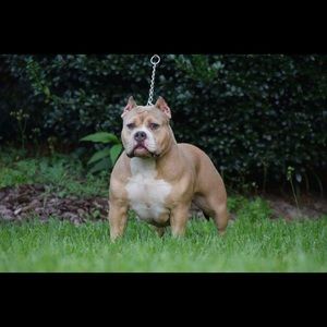 Meet your Posher, Renel